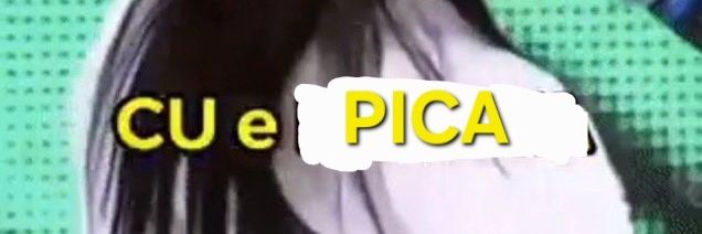 upicapreta's profile banner image