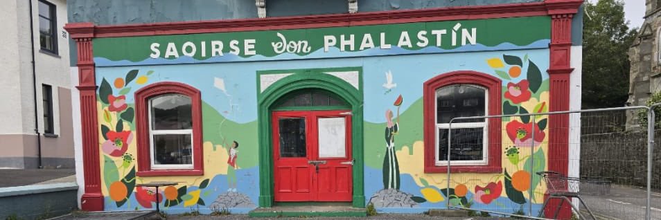 Mr. Brightside 🇵🇸🇮🇪 banner