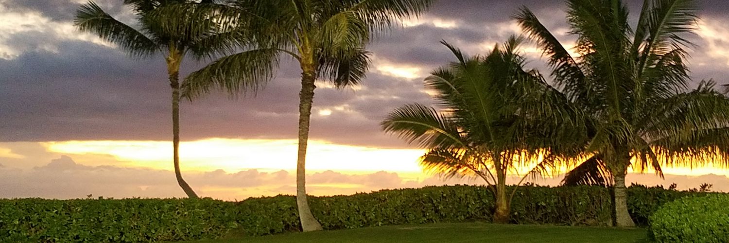 Power_me_up's profile banner image
