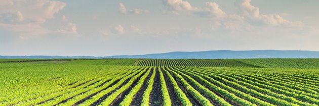 Farming Area banner