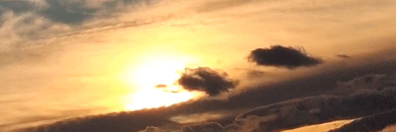 evenstarrynight's profile banner image