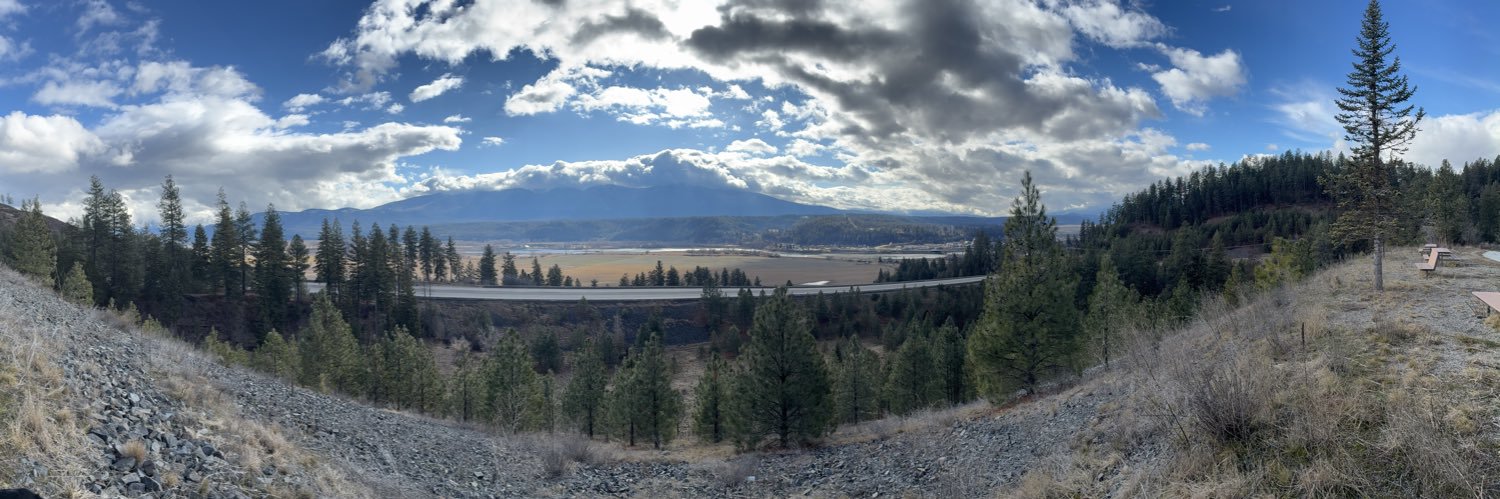 Average American banner