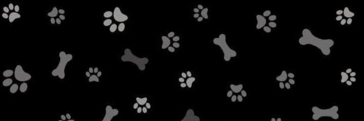 chicopepinillo's profile banner image