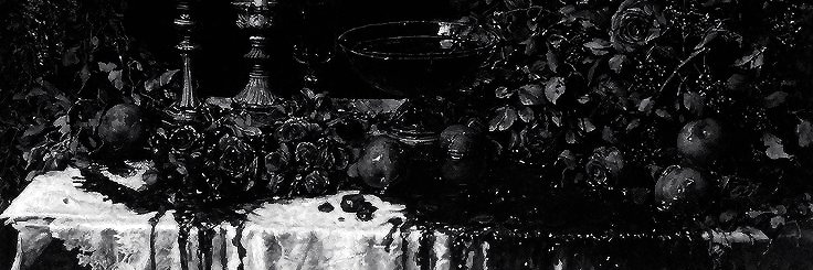 𝔞 𝔳𝔬𝔦𝔡, 𝐍. banner