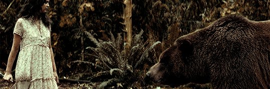 tophrex banner