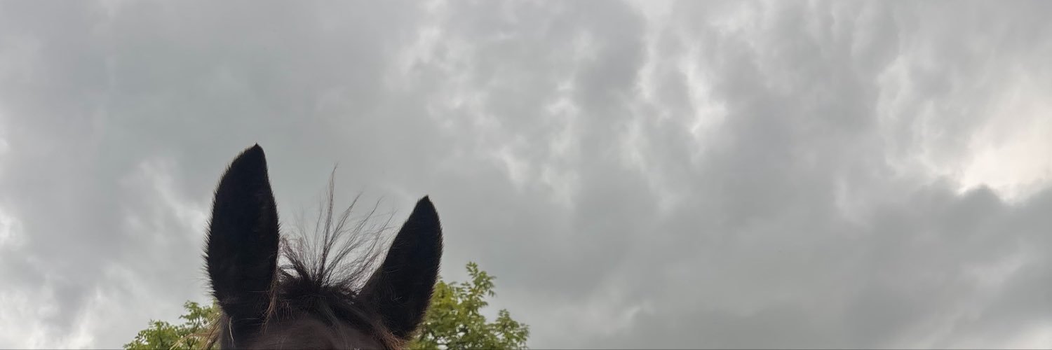KatGodess1941's profile banner image