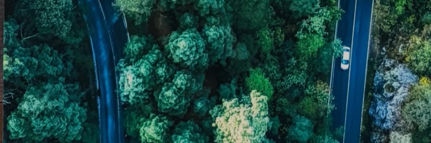 orianacupil's profile banner image