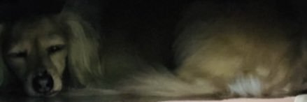 coalblackkk's profile banner image