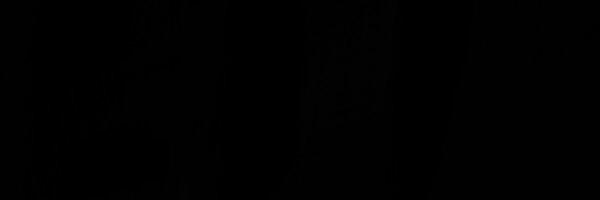 malanowski's profile banner image