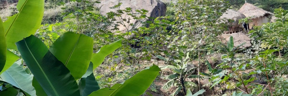 ChepkosgeiR's profile banner image
