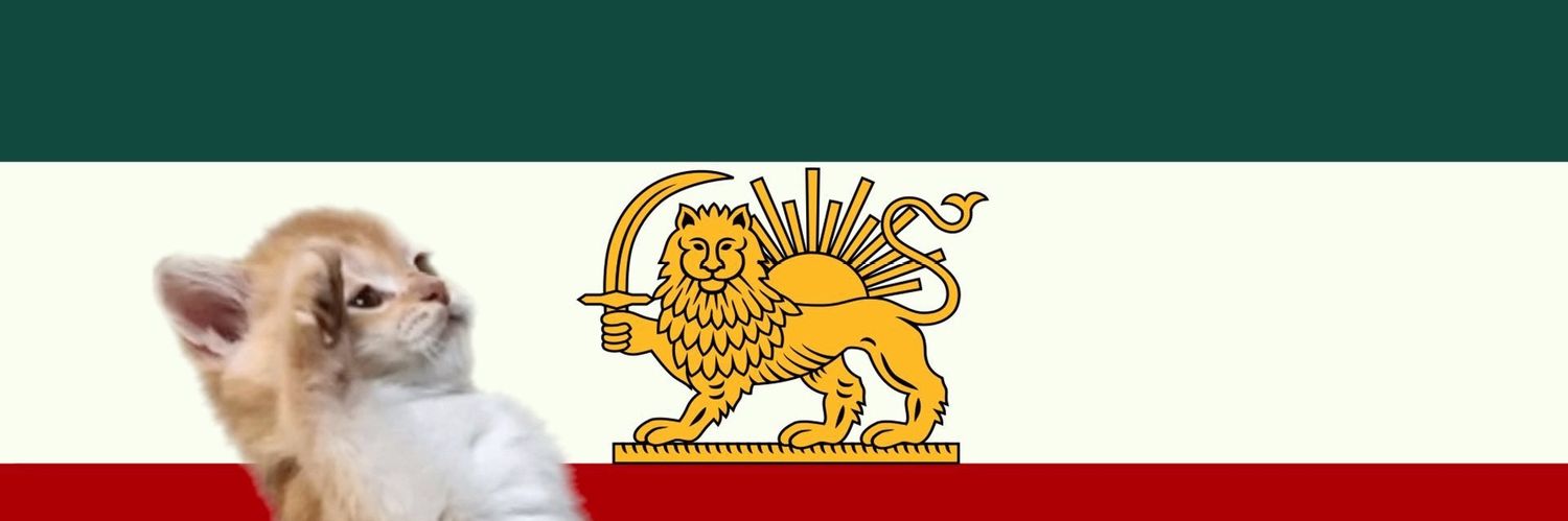 بازمانده غمگین banner