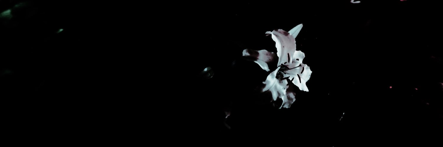 ⤷ 𝔃𝐚𝐜𝐤 𝓯𝐚𝐢𝐫 ⸝⸝ banner