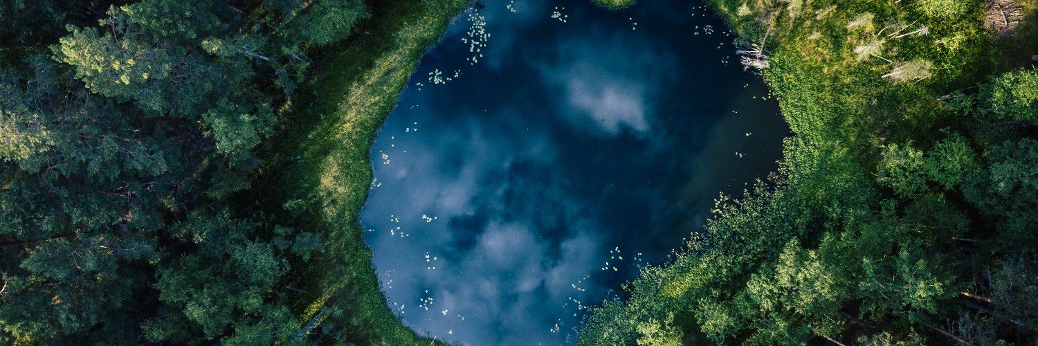 Natasha Pergl banner