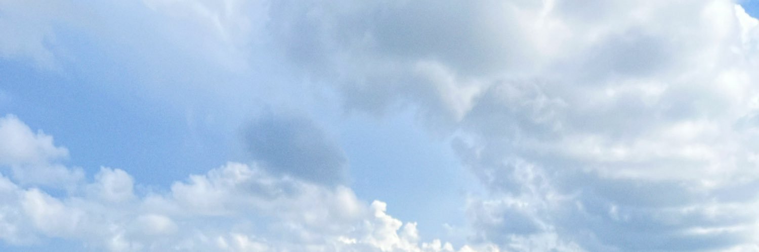 N banner