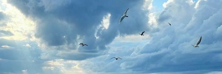 🌛 banner