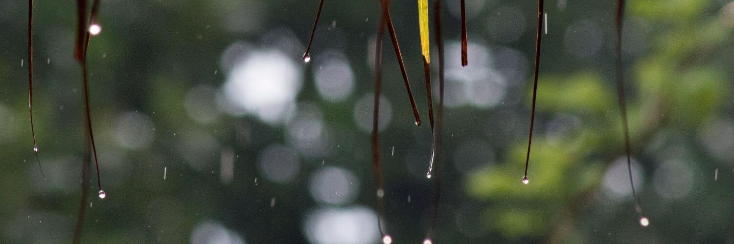prasadprechu's profile banner image