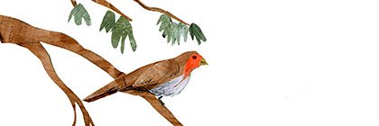 Shantala Robinson banner