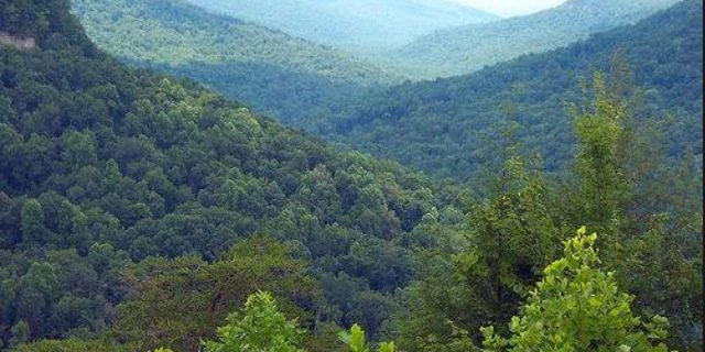 MerrBear34's profile banner image