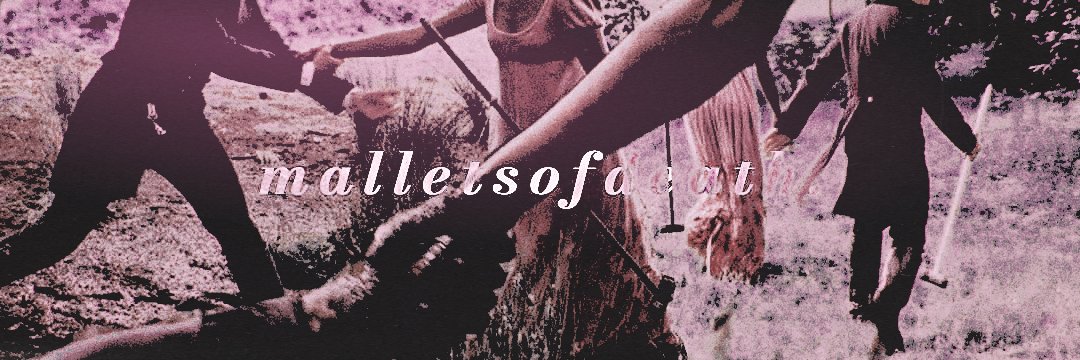 * 𝑲𝒂𝒕𝒆. banner