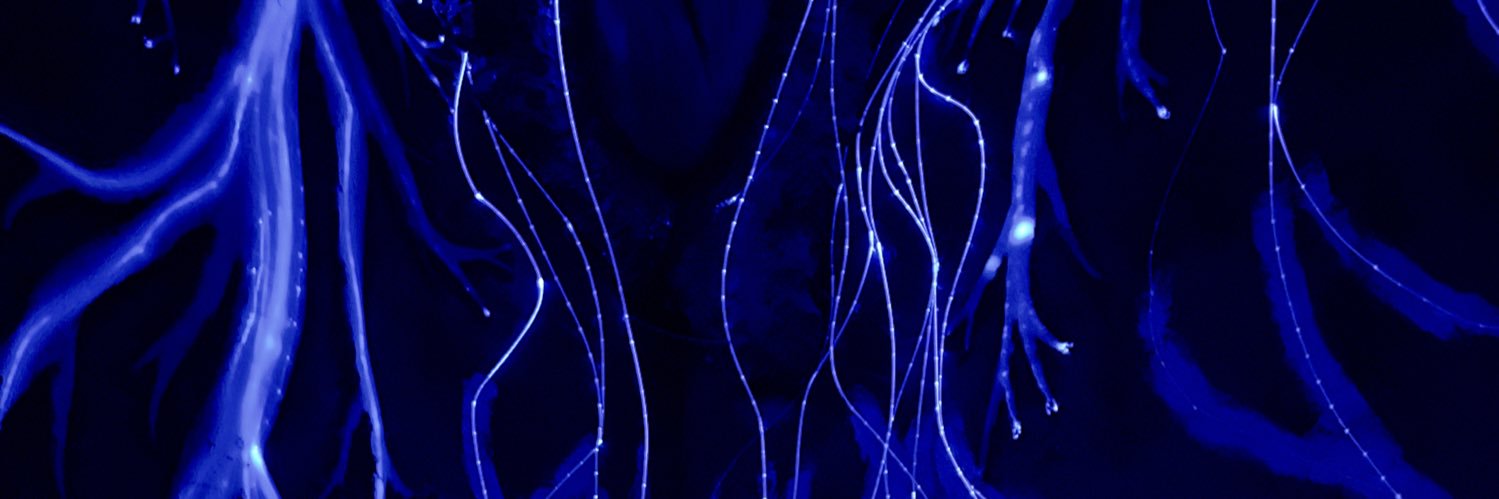 rdaulton's profile banner image