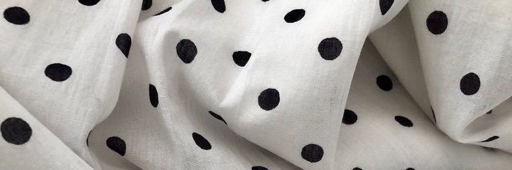 ˚˖𓍢ִ໋🦢˚ shannon banner