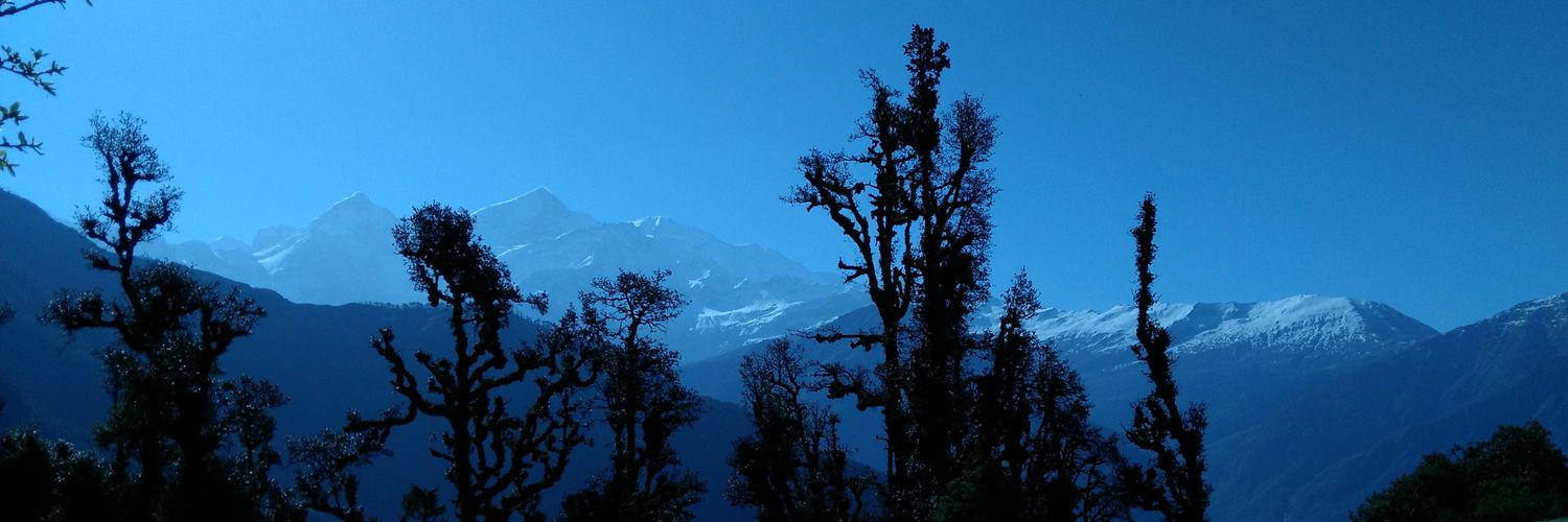 SwalehAssam's profile banner image