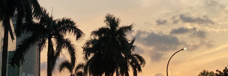 orygini's profile banner image