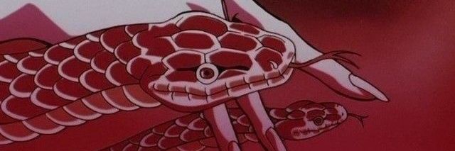 Filha das Almas | Cartomante banner