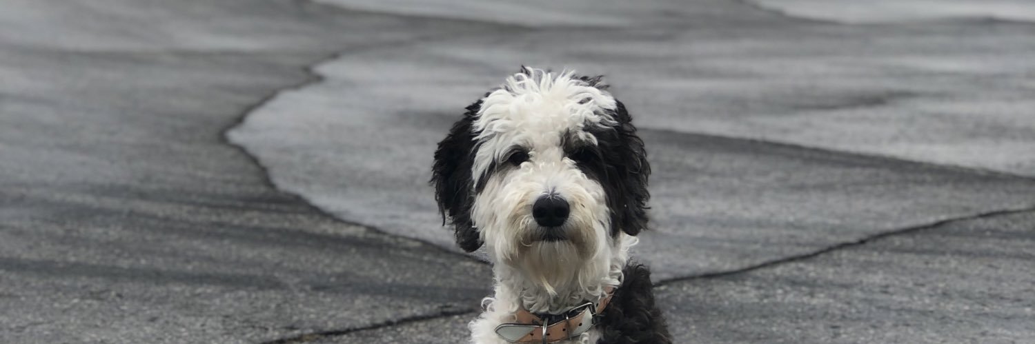 Marshall Smith banner