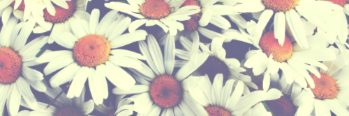 x_Bethhh's profile banner image