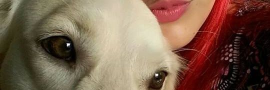 júlia chaves banner