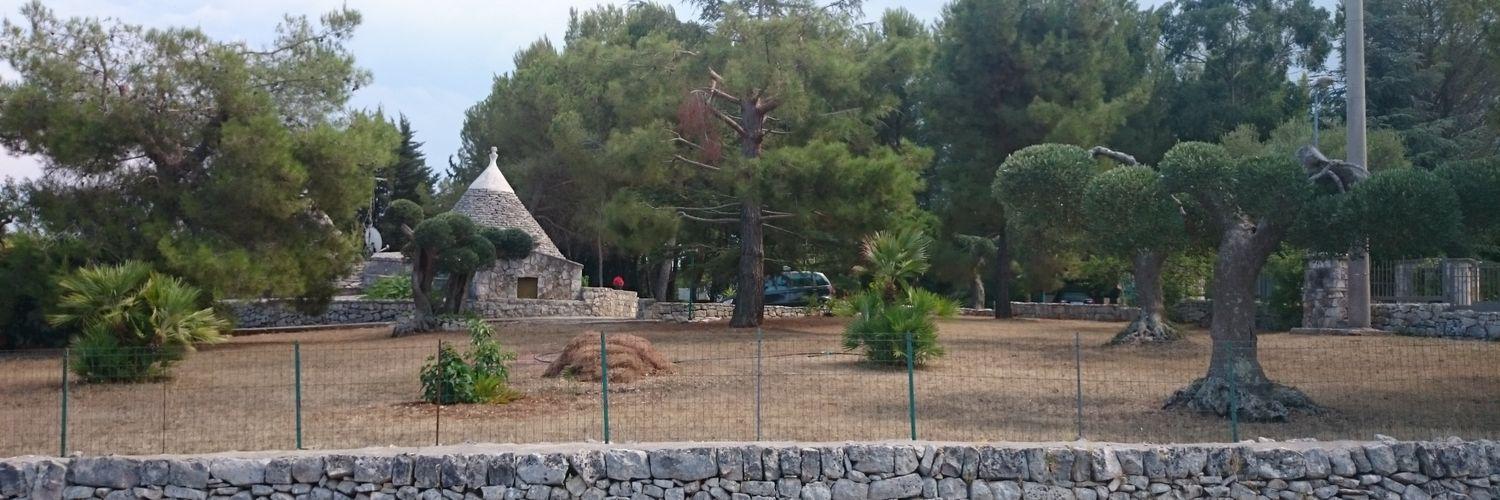 roccodivito's profile banner image