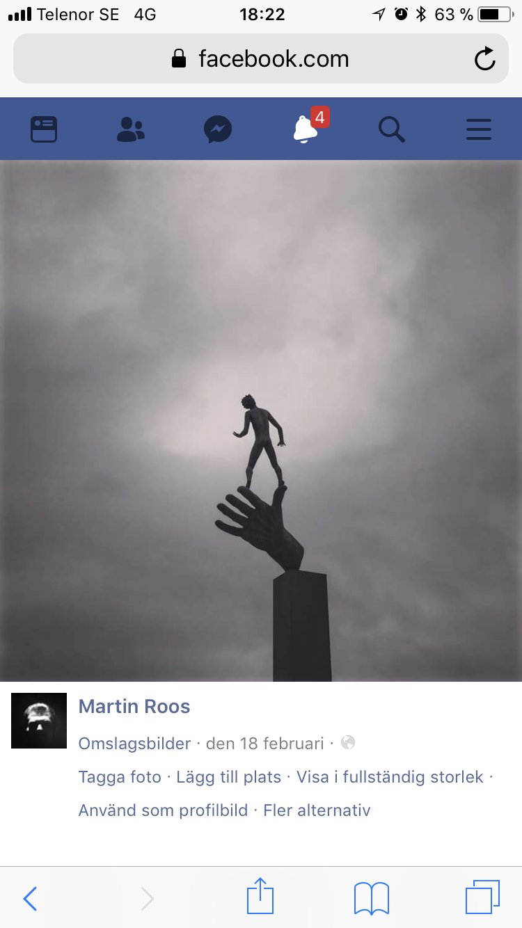 Martin Roos banner