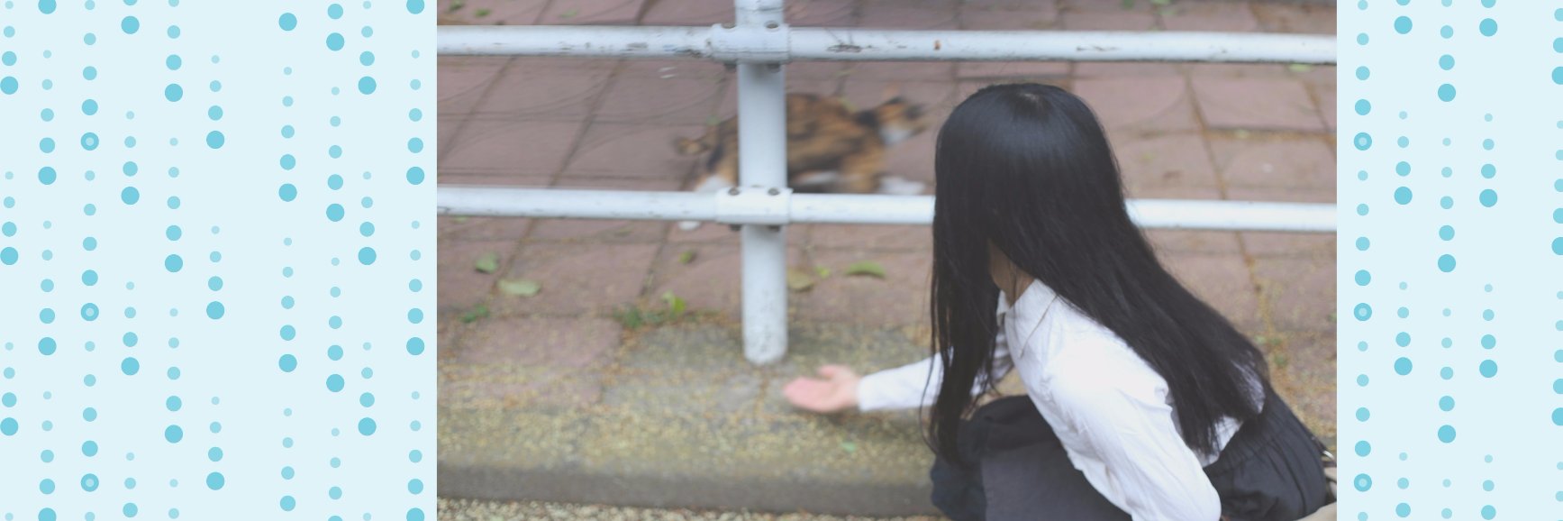 ngshabon's profile banner image
