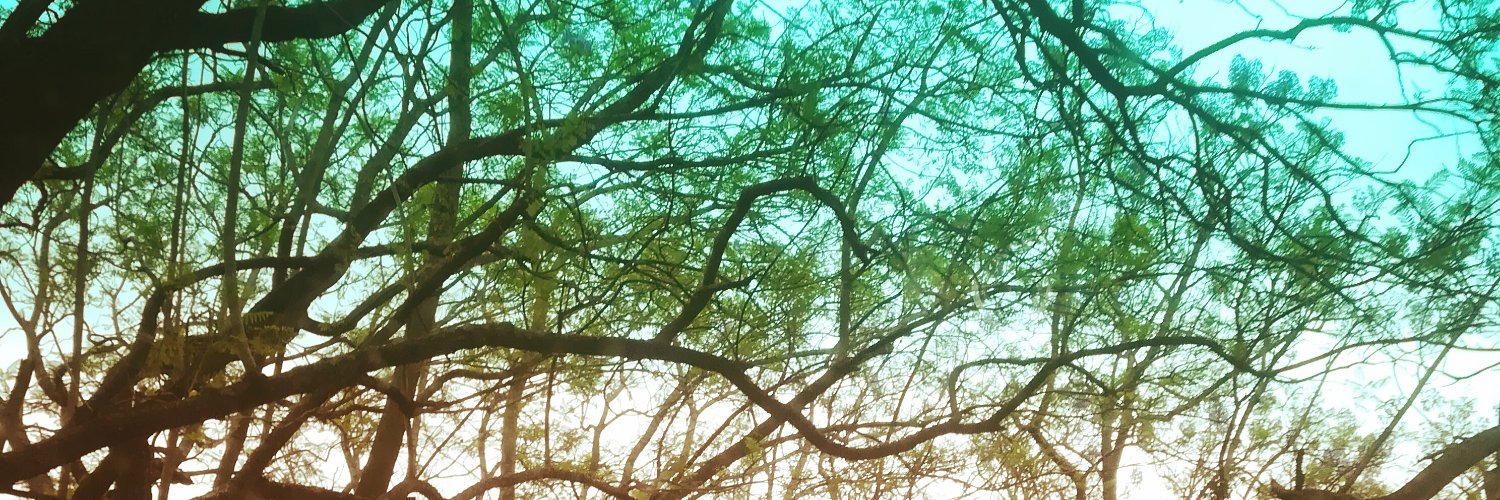 ThillyBear's profile banner image