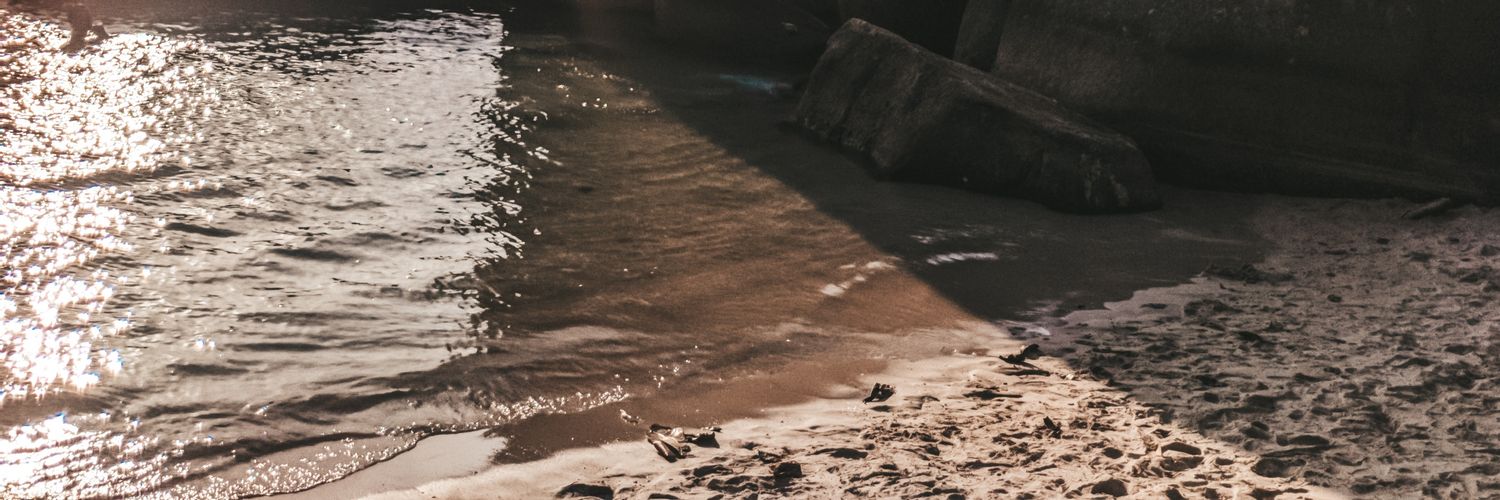 gdzalli's profile banner image