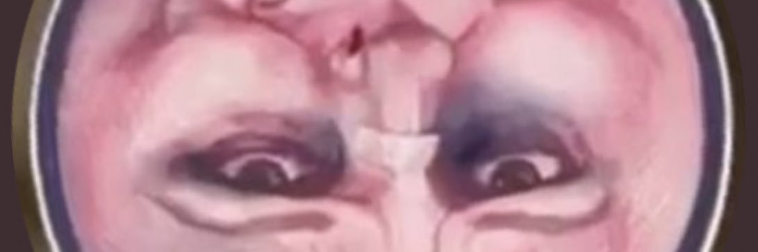 shitcoinpervert's profile banner image