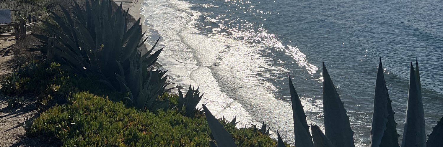 Colin Seeberger banner