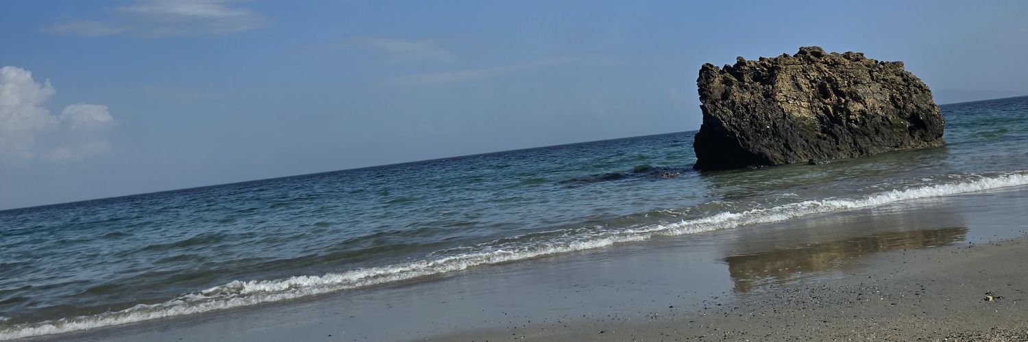 Ale banner