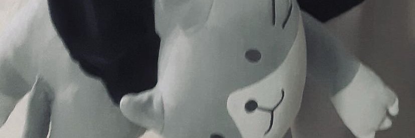 valya banner
