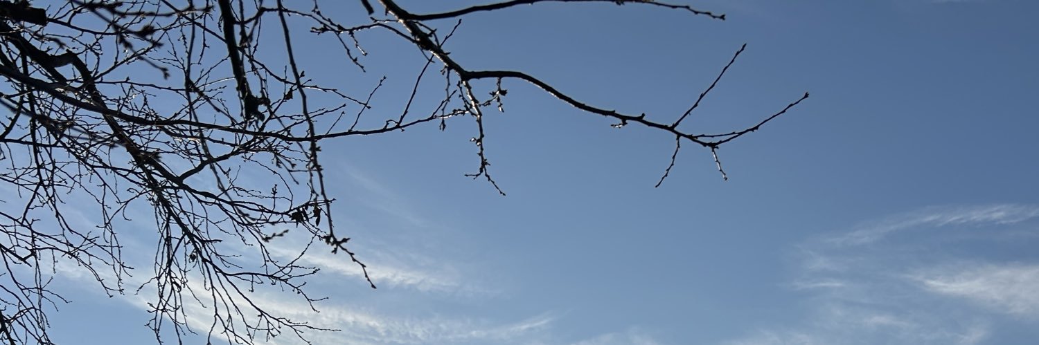 ラシとワン banner