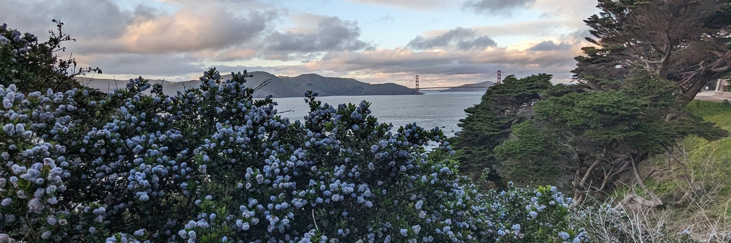 mstyflwrs's profile banner image