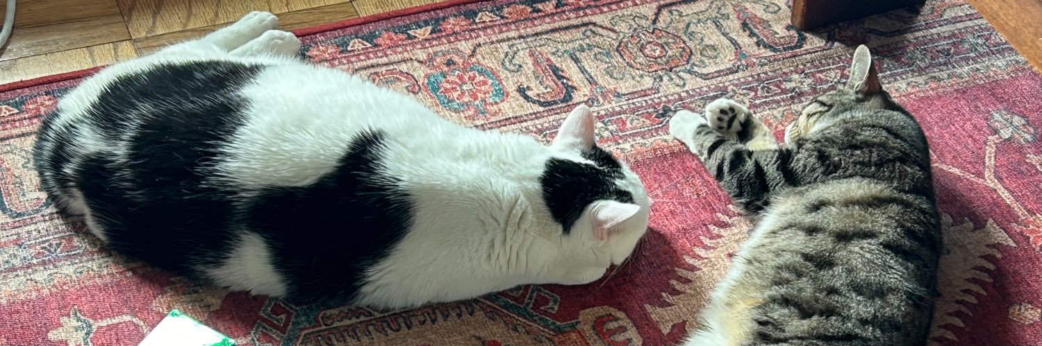 local ecologist 🌻🐦‍⬛ banner