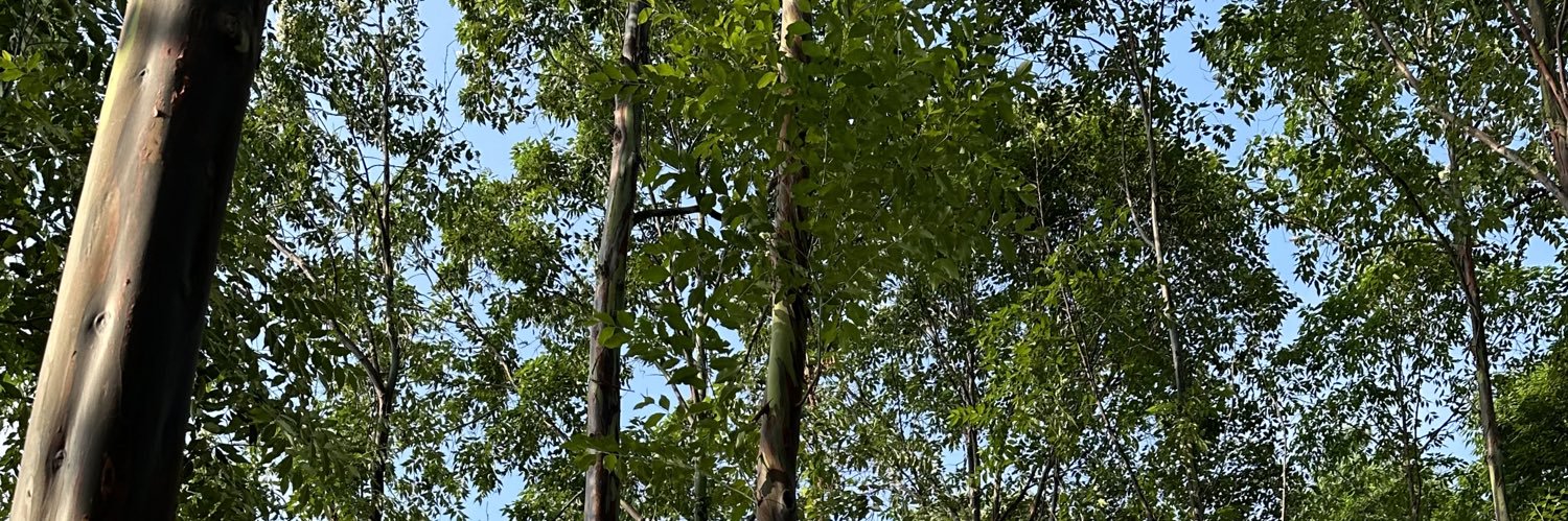 henswinata's profile banner image