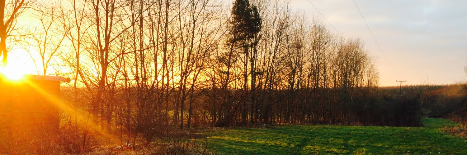 Fionaoconnor28's profile banner image