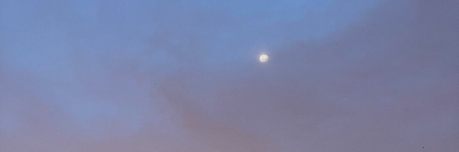 browsugar banner