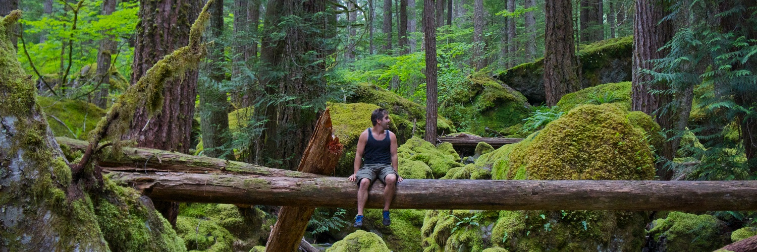 __Rob_'s profile banner image