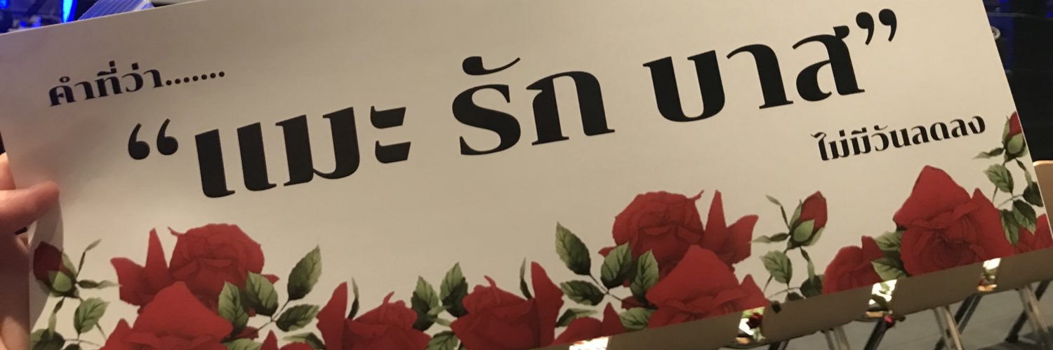 🌸 ᯓᡣ𐭩 ❀ ⚈ ̫ ⚈ ✿ᯓᡣ𐭩 🌸 banner