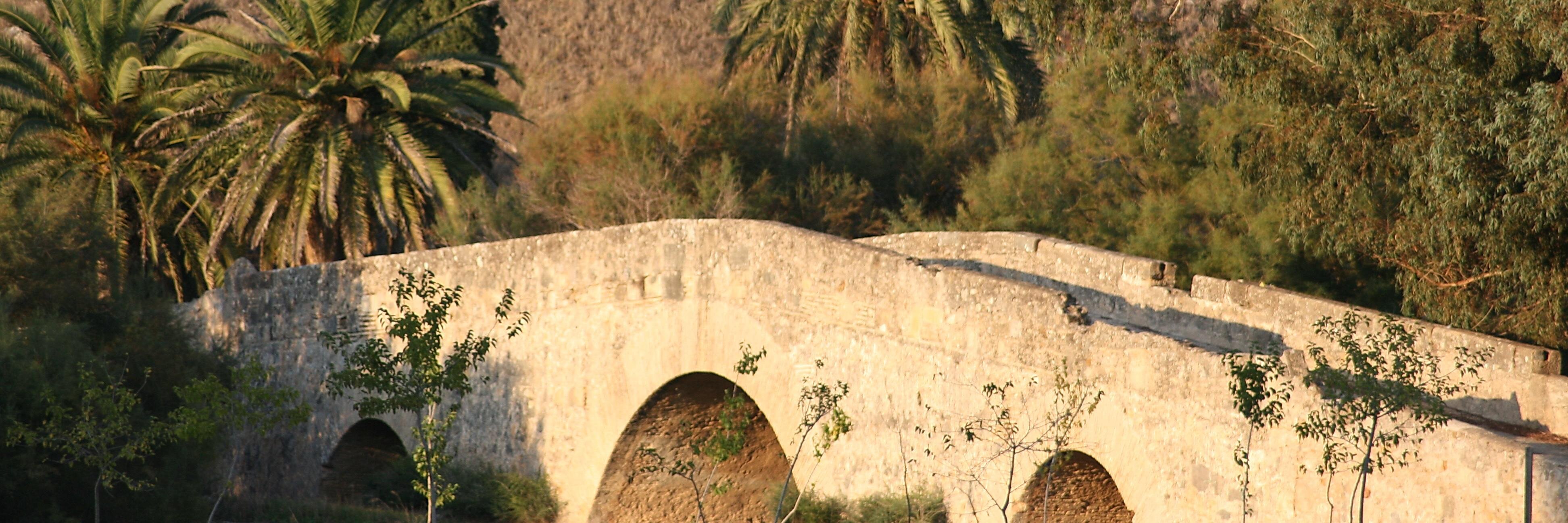 Antonio Ramos Pemán banner