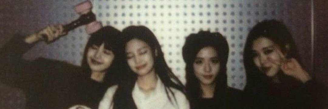 ppeu | missing the pinks banner
